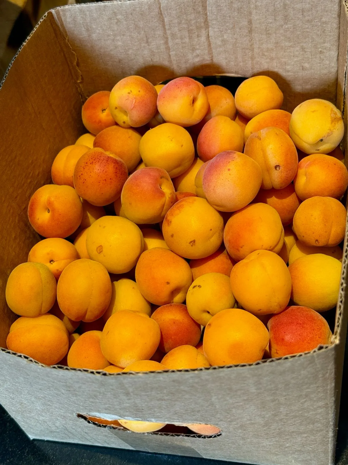 Peaches